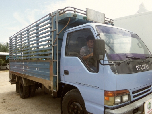 รถหกล้อกระบะบรรทุก ISUZU NPR 120แรงม้า สภาพสวยพร้อมใช้งานกระบะสแตนเลสเอกสารพร้อมโอน