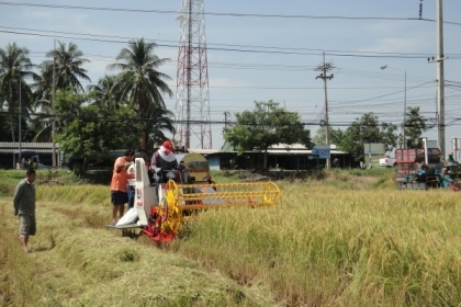 ขายด่วนรถเกี่ยวข้าว หน้าเกี่ยว 2 เมตร   โทร0859207693