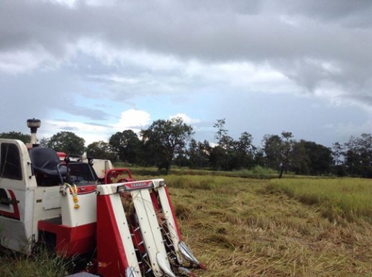 ขายรถเกี่ยวข้าวยันม่าร์