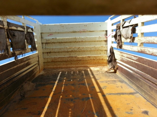 ISUZU FRR 210 ยอดจัดไฟแนนซ์ได้ 800,000 บาท ISUZU FRR 210 ยอดจัดไฟแนนซ์ได้ 800,000 บาท