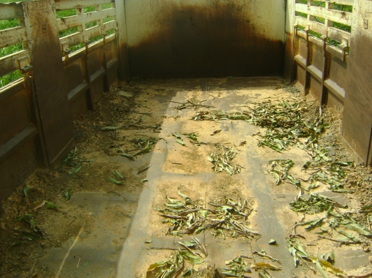 กระบะดัมท์ พร้อมอุปกรณ์  ถอดจาก ROCKY ราคา 90,000  บาท