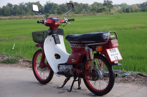 ขาย HONDA นันธิดา C 900 ทะเบียนพร้อมโอน ภาษี พรบ 2557