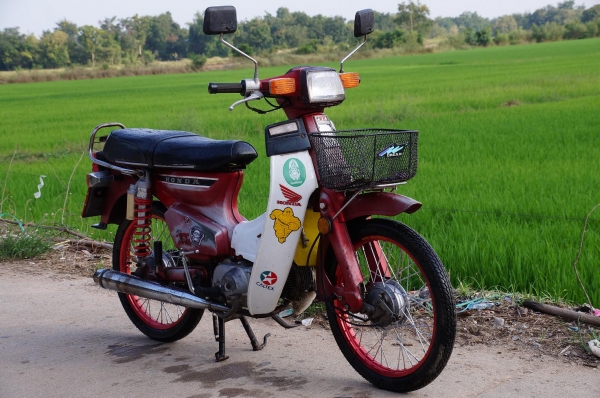 ขาย HONDA นันธิดา C 900 ทะเบียนพร้อมโอน ภาษี พรบ 2557