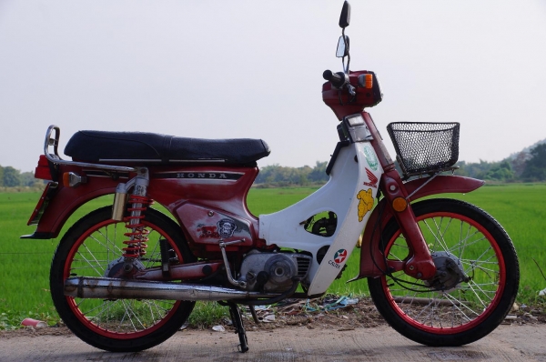 ขาย HONDA นันธิดา C 900 ทะเบียนพร้อมโอน ภาษี พรบ 2557