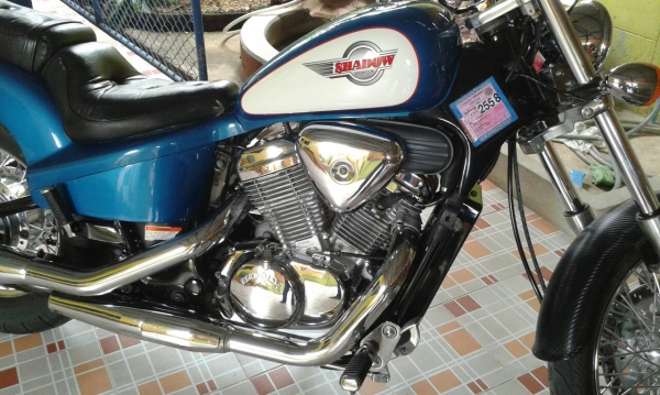 ขาย ฮอนด้า ชาโด้600 cc ปี94