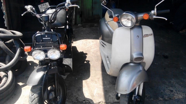 ขายรถป๊อบ zoomer 50cc เครื่อง4จังหวะ นิ่มมาก ประหยัดน้ำมันสุดๆ สตาร์ทมือ เท้า และอีกหลายรุ่น