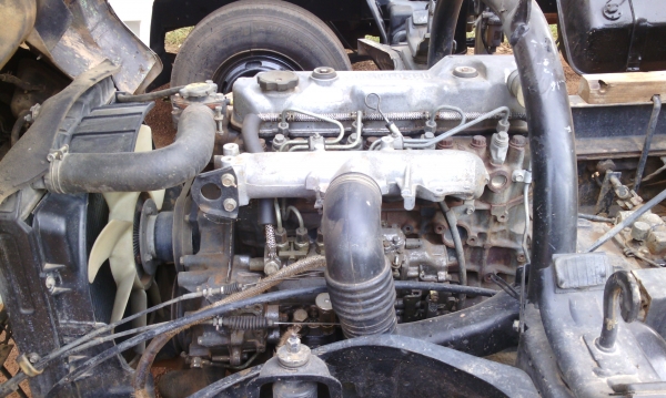 ขายมิตซู แคนเตอร์