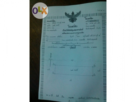 ทีดินพร้อมสิ่งปลูกสร้าง พร้อมอยู่อาศัย  1 ไร่ 2 งาน มีโฉนด ติดถนนสาธารณะทุกแปลง สนใจโทรมาคุยกันครับ