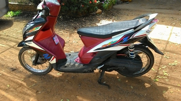 มีโอตาโตแปลงสองตาปี50