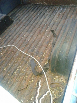 ขายดัทสัน521 ทะเบียนเเจ้งจอด5เกียร์J16มีเเอร์ด้วยครับ