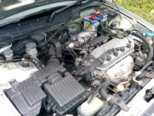 ตาโตเกียร์ธรรมติดแก๊ส95000