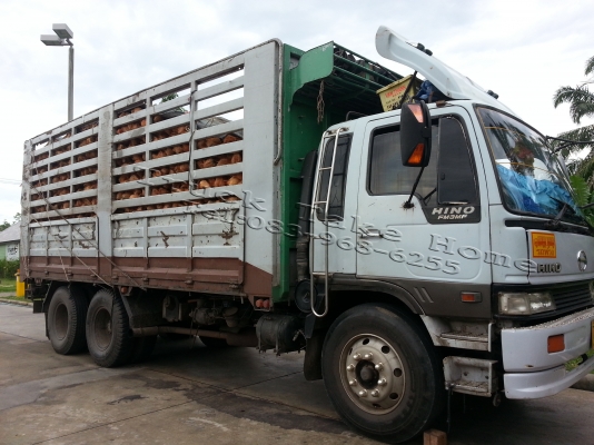 HINO FM3M ทั้งพ่วง ยอดจัดไฟแนนซ์ได้ 850,000 บาทคะ HINO FM3M ทั้งพ่วง ยอดจัดไฟแนนซ์ได้ 850,000 บาทคะ