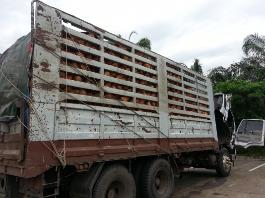 HINO FM3M ทั้งพ่วง ยอดจัดไฟแนนซ์ได้ 850,000 บาทคะ HINO FM3M ทั้งพ่วง ยอดจัดไฟแนนซ์ได้ 850,000 บาทคะ