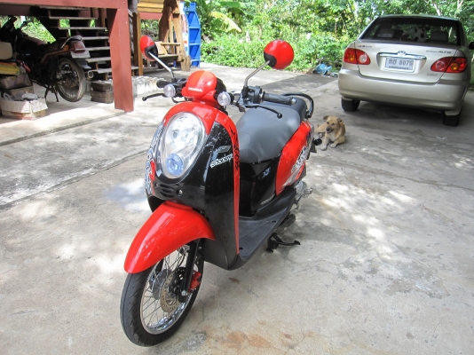 ขาย honda scoopy i รถปี 54 ทะเบียนหมด 58 ขาย 19000 บาท