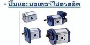 อะไหล่รถเครน อะไหล่ทาวเวอร์เครน รถแม็คโคร อะไหล่รถแบคโฮ อะไหล่รถตัก อะไหล่รถแทรคเตอร์ อะไหล่รถดั๊ม อะไหล่รถโฟลคลิฟท์