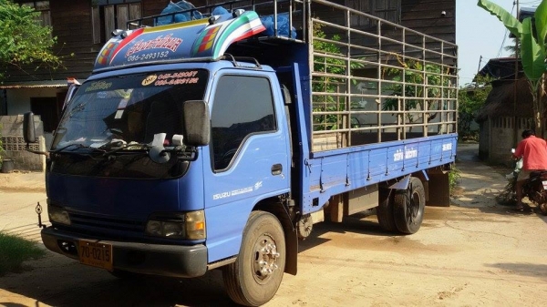 ขายรถบ้าน อีซูซุ NPR 130 แรงม้ายาว5เมตร ครัชชี่สวย เดิมทุกอย่าง เครืองเสียงพร้อม แอร์เย็น ราคาต่อรองได้ 0862493152