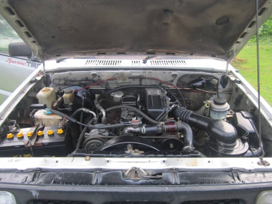 ถู๊กถูก..มังกรดำ