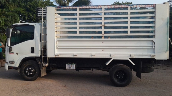 รถหกล้อ ISUZU ELF NPR150 ดัมพ์เกษตร ไมล์แท้ 27100KM.