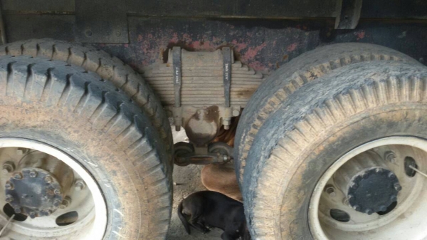 ขายด่วน ISUZU Rocky ห้างแท้ 2 เพลาดั้ม