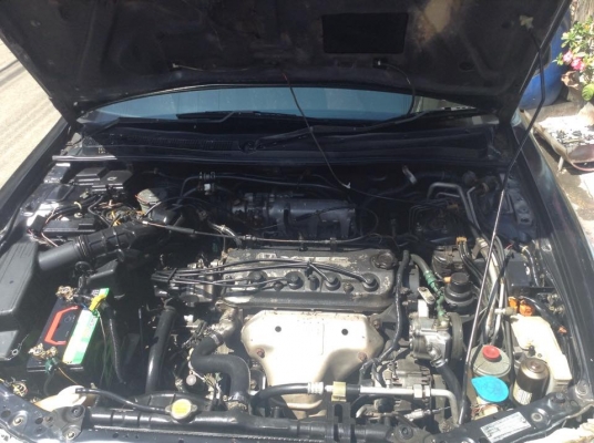 ขายครับ honda accord 2.2 v-tec ปี96 ออโต้. แกส. เครื่องดี เกียรได้ ภายในสะอาด สีเงา. แอรหนาว. ไฟฟ้าครบๆ. เพลงดัง. ช่วงล่างนิ่ง. ความร้อนจบ. วิ่งไกลสะบาย แกสลงเล่ม ครบๆ พร้อมใช้. ราคาเเค่ 75000. กอล์ฟ. ดูรถ สายไหม ลำลูกกา ขายครับ honda accord 2.2 v-tec ปี96 ออโต้. แกส. เครื่องดี เกียรได้ ภายในสะอาด สีเงา. แอรหนาว. ไฟฟ้าครบๆ. เพลงดัง. ช่วงล่างนิ่ง. ความร้อนจบ. วิ่งไกลสะบาย แกสลงเล่ม ครบๆ พร้อมใช้. ราคาเเค่ 75000. กอล์ฟ. ดูรถ สายไหม ลำลูกกา