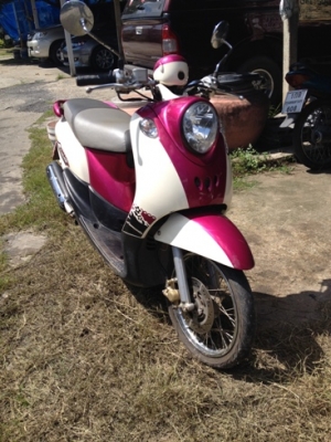 ฟีโน่ สีชมพูขาว ทบ.โอน