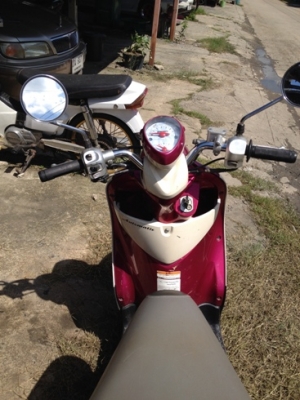 ฟีโน่ สีชมพูขาว ทบ.โอน