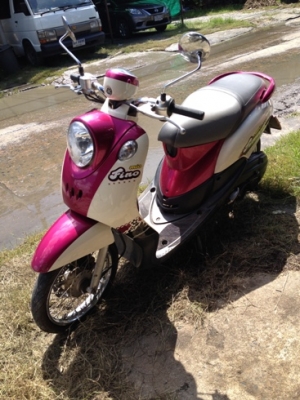 ฟีโน่ สีชมพูขาว ทบ.โอน