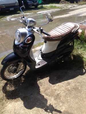 ฟีโน่ สีดำขาว ทบ.โอน