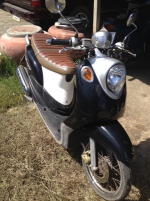 ฟีโน่ สีดำขาว ทบ.โอน