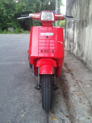 ป๊อป3ล้อ 50 cc. honda gyro up