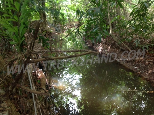 ขายที่สมุย22ไร่อยู่ตลิ่งงามถนนเทศบาล คลองล้อมที่430เมตร เขตตลิ่งงามห่างโรงแรมคอนติเนตัล2กม. ห่างมารีน่า3กมขายไร่ละ2.5ล้าน