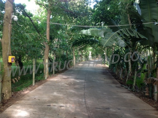 ขายที่สมุย22ไร่อยู่ตลิ่งงามถนนเทศบาล คลองล้อมที่430เมตร เขตตลิ่งงามห่างโรงแรมคอนติเนตัล2กม. ห่างมารีน่า3กมขายไร่ละ2.5ล้าน