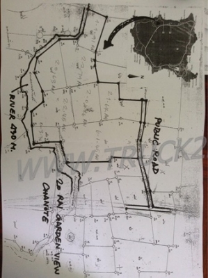 ขายที่สมุย22ไร่อยู่ตลิ่งงามถนนเทศบาล คลองล้อมที่430เมตร เขตตลิ่งงามห่างโรงแรมคอนติเนตัล2กม. ห่างมารีน่า3กมขายไร่ละ2.5ล้าน
