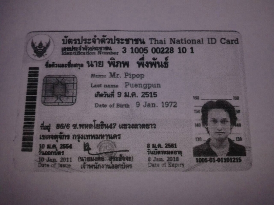 Honda n pro Honda n pro