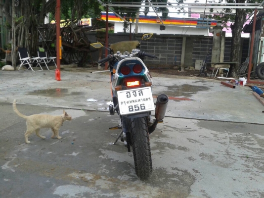 Honda n pro Honda n pro