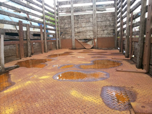 ขายรถ6ล้อบรรทุกถูกๆ พร้อมใช้งาน ขายรถ6ล้อบรรทุกถูกๆ พร้อมใช้งาน