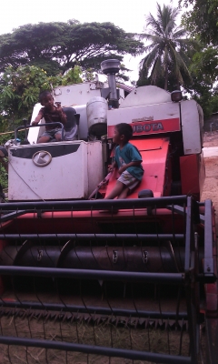 ขายรถเกี่ยวข้าว KUBOTA DC 60