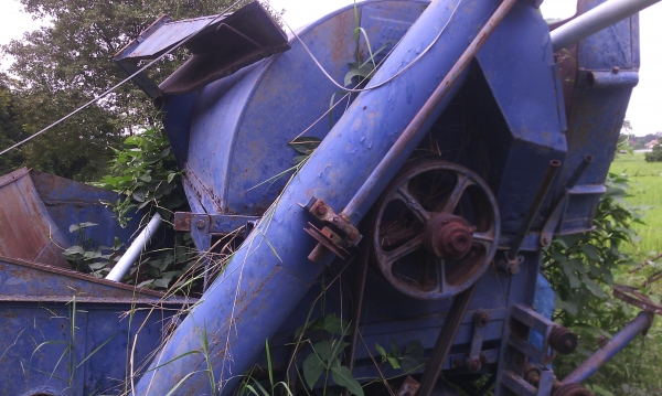 ขายเครื่องนวดข้าว6ฟุตเกษตร