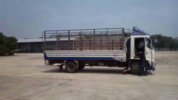 ***ขายแล้วครับขอบคุณ Truck2hand ขาย6ล้อช่วงยาว HINO MEGA SERIES-500 FC9JJKA JO5E-145HP EURO3 ปี52 เครื่องเดิมเกียร์เดิม ใช้งานน้อย ไมล์54,xxx เครื่อง145แรง4สูบ เครื่องแห้ง แน่น แรงดี เกียร์ดีไม่หลุด ช่วงล่างเดิม คัสซีสวยเดิมๆ ไม่ปะไม่บวม กระบะพื้นไม้คอกเห