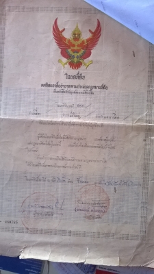 ขอพี่เสือใจดี ประกาศขายที่ดิน 9-2-19ไร่ หน้ากว้างติดถนนมิตรภาพ244 ลึก 80 เมตร ห่างแยกอ.สีดา 4 กม ไกล้ศูนย์KOBOTAและHONDAสีดา