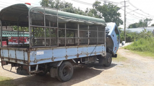 ขาย120 ฝาขาว ปี43