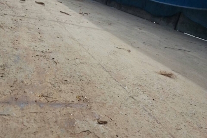 หัวลาก10ล้อIZUSU 2 เพลา รุ่น GXZ360 + หาง3มิตรดั้ม2เพลา หัวลาก10ล้อIZUSU 2 เพลา รุ่น GXZ360 + หาง3มิตรดั้ม2เพลา