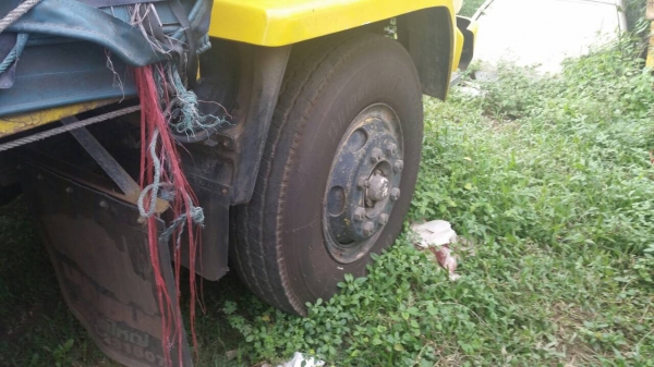 (มี4คัน)10ล้อเพลาเดียว175แรงFVM12MY เล่มพร้อม คัสซีสวย เครื่องสวย... (มี4คัน)10ล้อเพลาเดียว175แรงFVM12MY เล่มพร้อม คัสซีสวย เครื่องสวย...