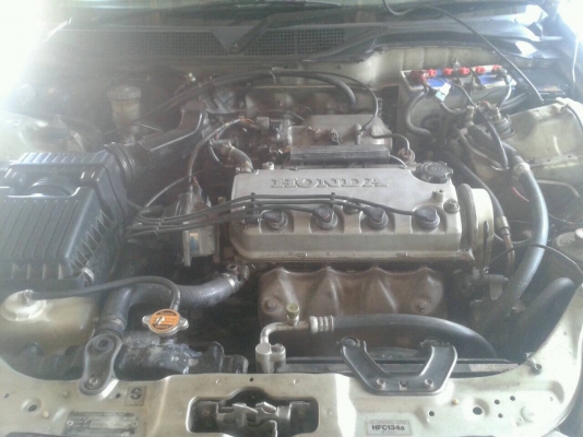 ขายด่วน!!