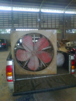 ขาย !! พัดลม อี-แว๊ฟ เล้าไก่ ใช้มอเตอร์2สายฮิตาชิ