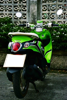 ฟีโน่ดำ เขียว ขาว สภาพสวย ฟีโน่ดำ เขียว ขาว สภาพสวย