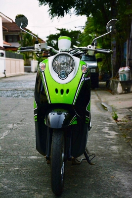 ฟีโน่ดำ เขียว ขาว สภาพสวย ฟีโน่ดำ เขียว ขาว สภาพสวย