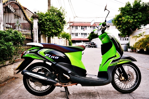 ฟีโน่ดำ เขียว ขาว สภาพสวย ฟีโน่ดำ เขียว ขาว สภาพสวย