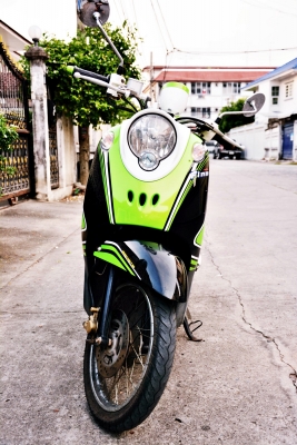 ฟีโน่ดำ เขียว ขาว สภาพสวย ฟีโน่ดำ เขียว ขาว สภาพสวย