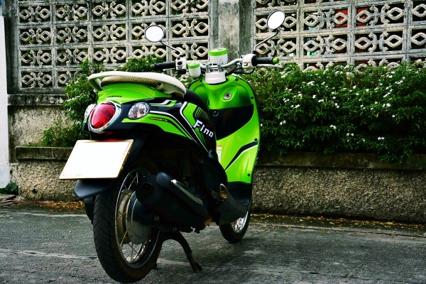 ฟีโน่ดำ เขียว ขาว สภาพสวย ฟีโน่ดำ เขียว ขาว สภาพสวย